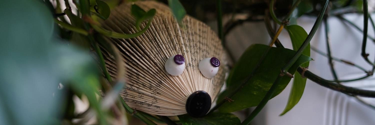 Photo of a toy hedgehog 