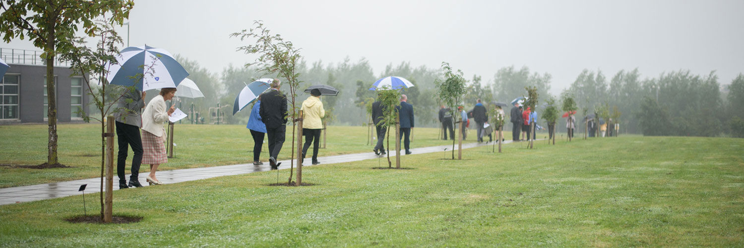 A group of people holding umbrellas walk alongside newly planted trees on the QMU campus