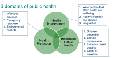 The 3 Domains for Public Health Infographic
