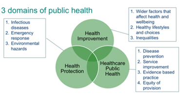The 3 Domains for Public Health Infographic