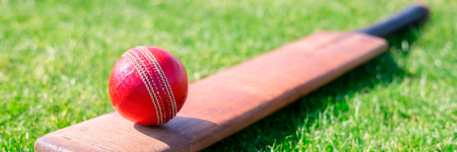 Cricket bat and ball