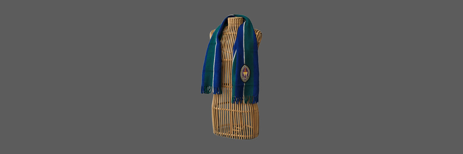This is a scarf in the colours of College of Domestic Science with post-1950 logo.