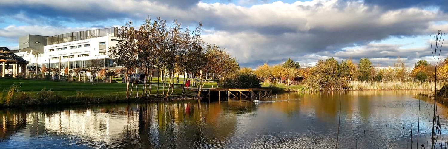 The large SUDS pond on QMU campus.