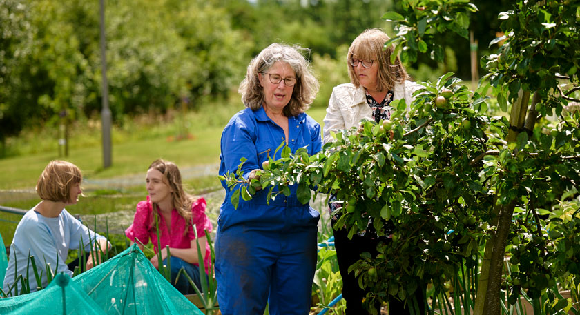 image of people on an allotment
