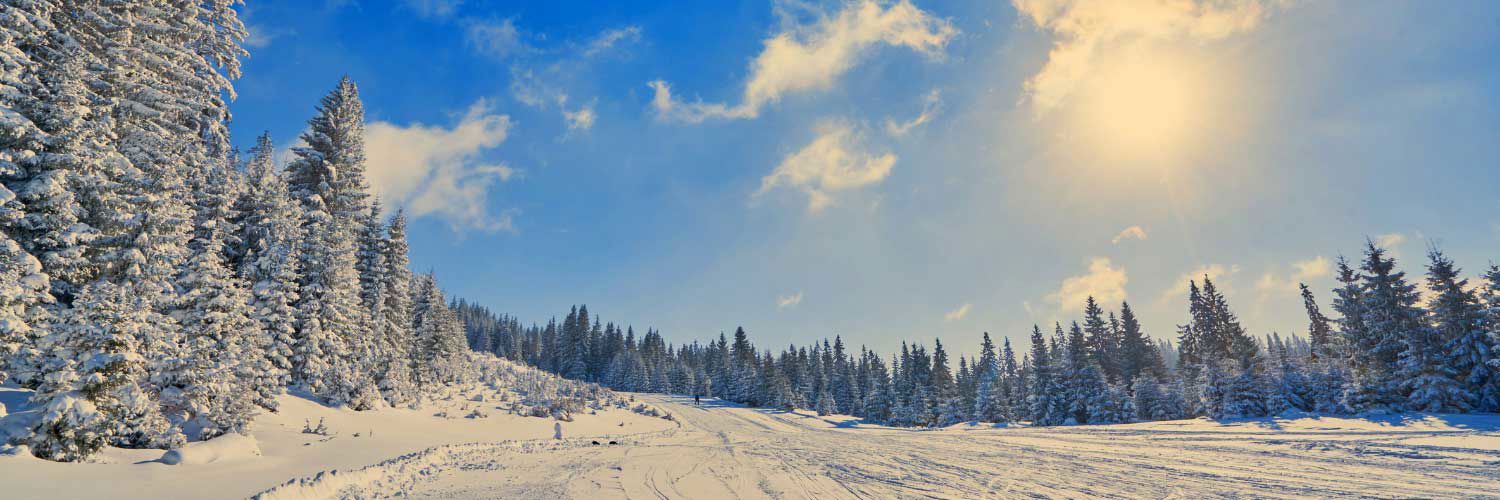 A landscape shot of wintery evergreen trees surrounded by snow